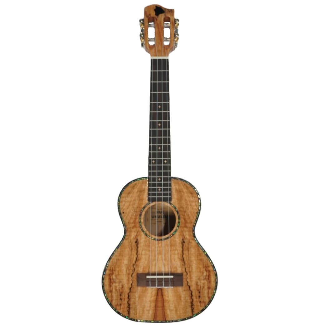 HUG-SMP-TG Tenor