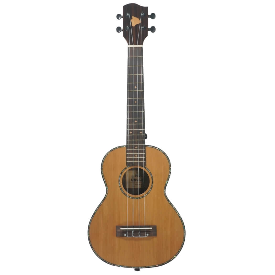 HUG-SCR-TG Tenor