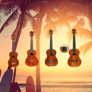 Island Collection