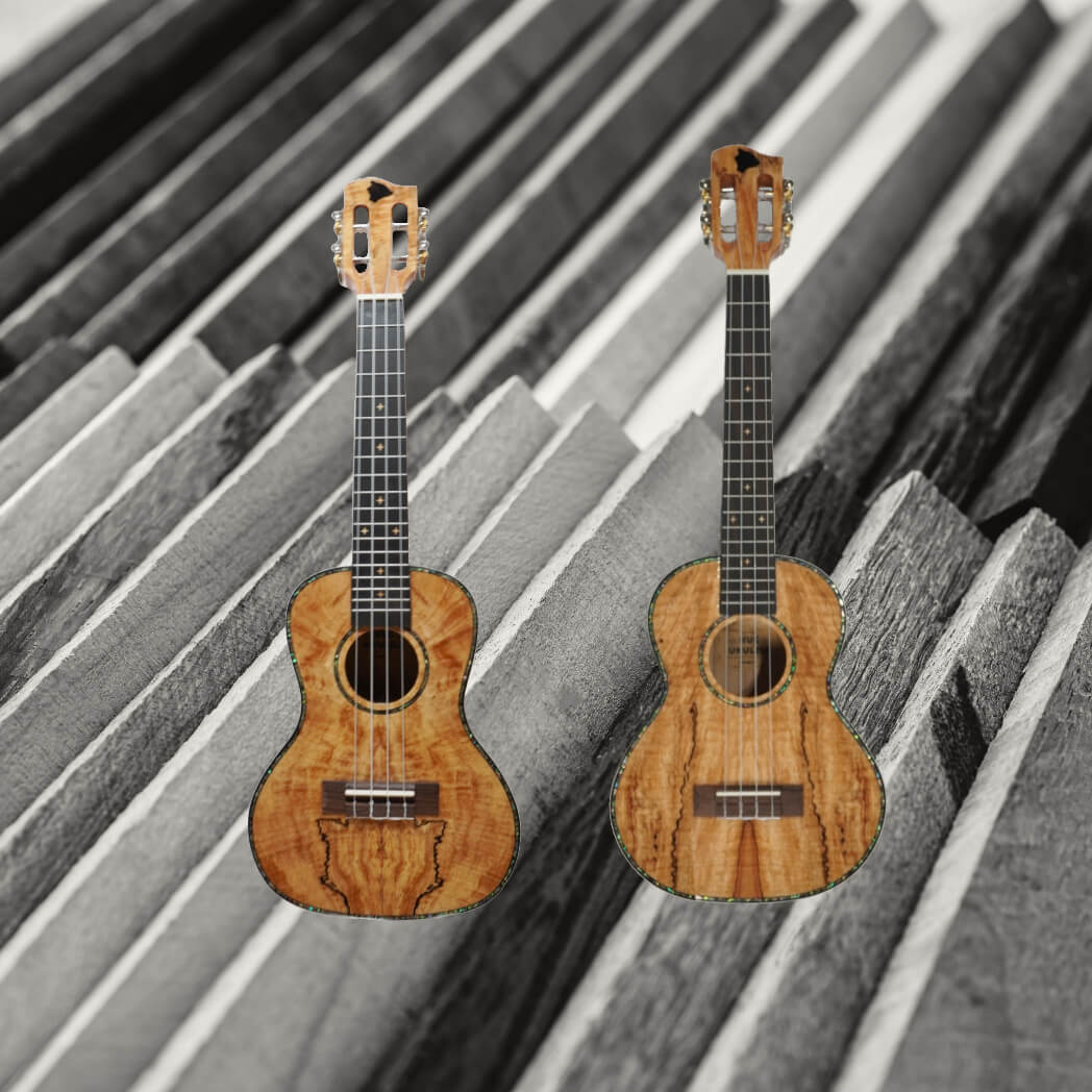 Spalted Maple Collection – HUG Ukulele